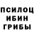 Псилоцибиновые грибы мухоморы Iura Hohlov