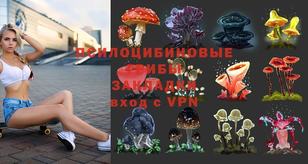 мдпв Армянск